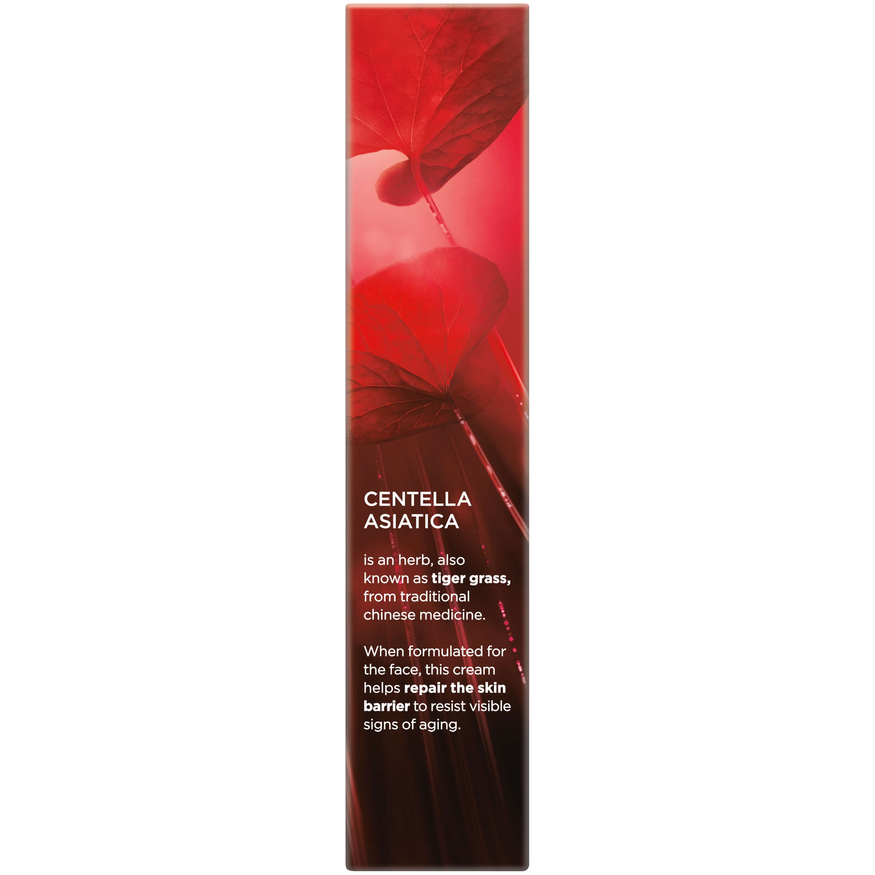 L'Oreal Paris Revitalift Cicacream Anti-Wrinkle + Skin Barrier Repair, 1.7 fl. oz.