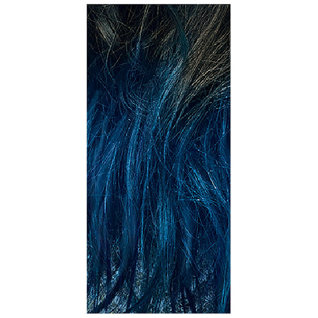 L'Oreal Paris Colorista Spray, Aerosol, Temporary Hair Color, Blue, 2 oz